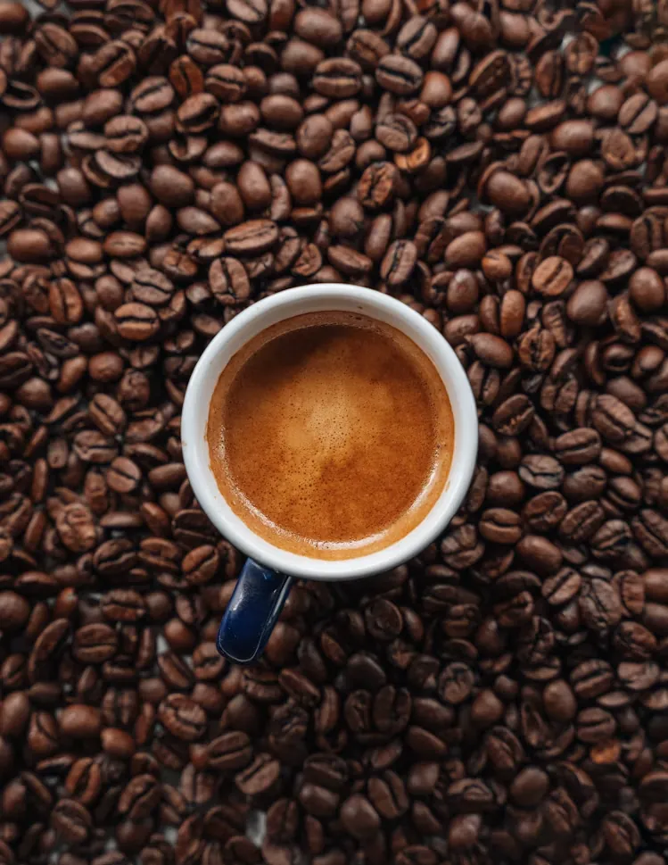 Coffee guide and tasting notes